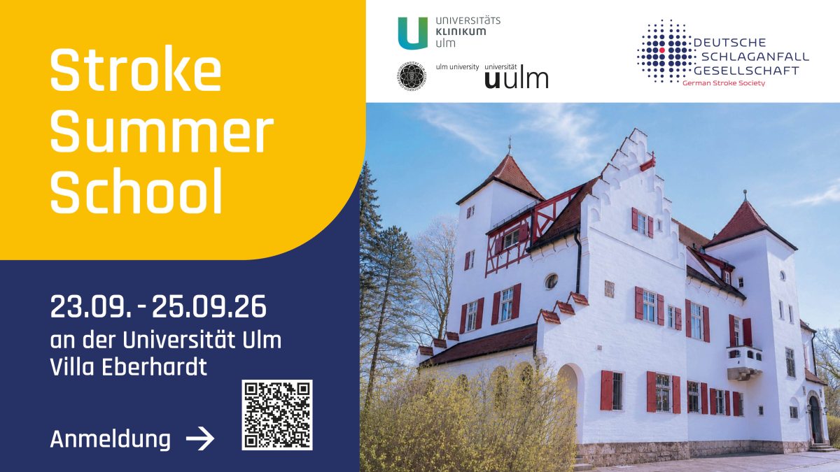DSG Stroke Summer School 2026 in Ulm